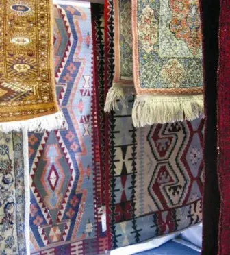 Abrash Oriental Carpet Care by Steammaster