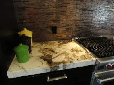 Direct-Trades - Bathroom Remodeling in Plano, TX