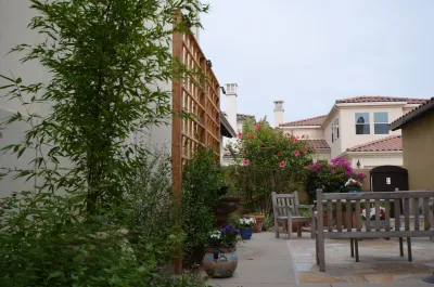 Point Loma — Landscape Construction project by Juniper Landscape Company