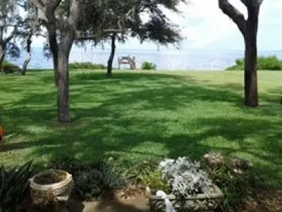 JV Magic Touch Inc - Landscape Maintenance in Port Richey, FL