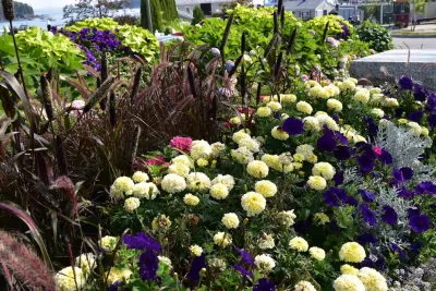 More Landscape Projects — Landscape Design project by Bruno Design Associates