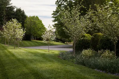 JW Townsend Inc. - Leaf Removal & Cleanup in Charlottesville, VA