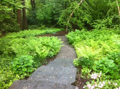 Naturalized Landscape — Landscape Construction project by Kale's Nursery & Lands