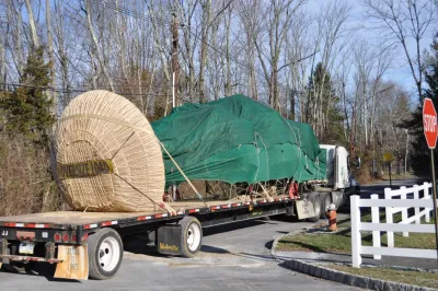 Large London Plane Tree Planting - Princeton — Landscape Construction project by Kale's Nursery & Lands