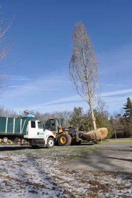 Kale's Nursery & Lands - Garden Remodeling in Princeton, NJ