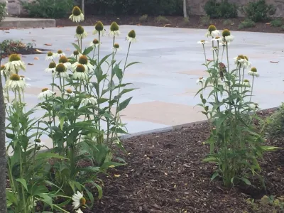 Trinity Church — Landscape Construction project by Kale's Nursery & Lands