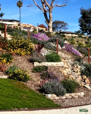 Kalorama Landscape, Inc. - Tree & Shrub Care in Ventura, CA
