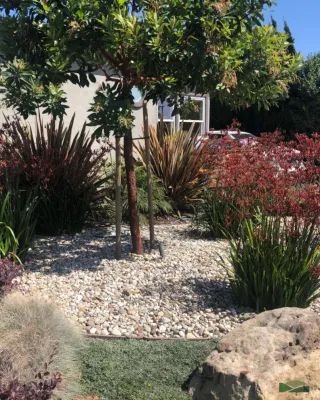 Kalorama Landscape, Inc. - Tree & Shrub Care in Ventura, CA