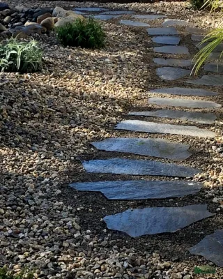 Kalorama Landscape, Inc. - Tree & Shrub Care in Ventura, CA