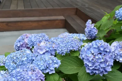 Bruno Design Associates - Garden Remodeling in Chester, NJ