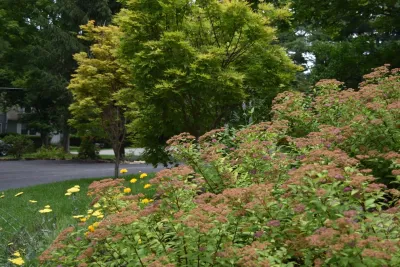 Bruno Design Associates - Garden Remodeling in Chester, NJ
