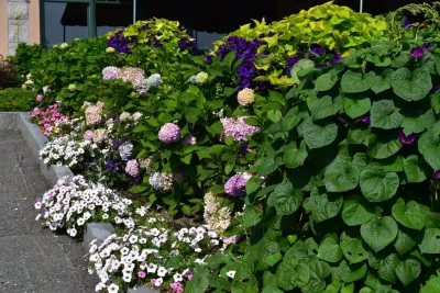 Bruno Design Associates - Garden Remodeling in Chester, NJ