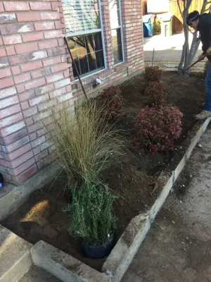 Karma Gardens - Land Cleaning in Joliet, IL