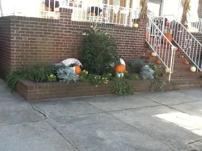 Low-Maintenance Curb Appeal — Landscape Construction project by Kãsa Landscaping & Property Management