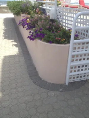 Container Garden Landscape Projects by Kãsa Landscaping & Property Management
