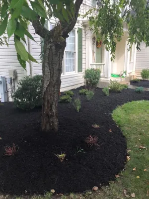 KC's Lawns And Landscaping - Landscape Construction in White Marsh, MD