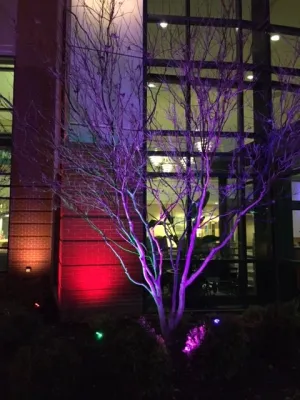 Kettering Irrigation & Lighting - Landscape Construction in Kettering, OH