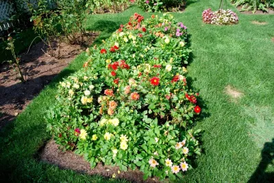 Kevin Catalano Gardening & Design - Tree & Shrub Care in Greenwich, CT