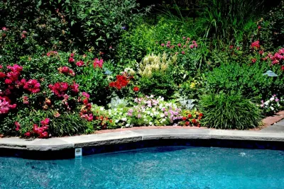 Swimming pool — Landscape Construction project by Kevin Catalano Gardening & Design