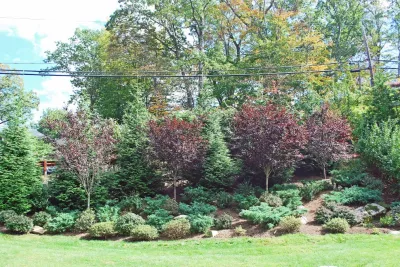 Hill Designs — Landscape Construction project by Kevin Catalano Gardening & Design