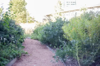 Kinghorn Gardens - Landscape Maintenance in Omaha, NE