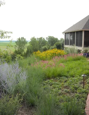Nebraska Natives Planned Prairie — Landscape Construction project by Kinghorn Gardens in Omaha