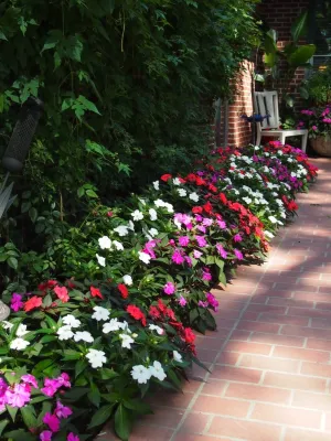 Charming Park-Like Backyard — Landscape Construction project by Kinghorn Gardens in Omaha