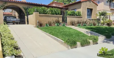 L.A. Plants - Tree & Shrub Care in Los Angeles, CA