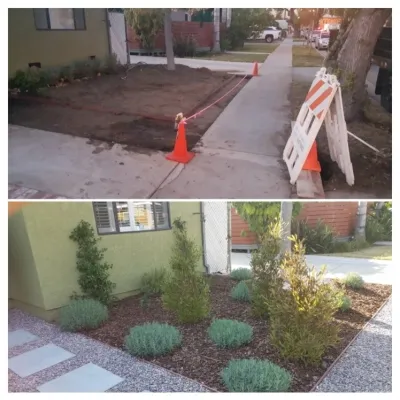 L.A. Plants - Tree & Shrub Care in Los Angeles, CA