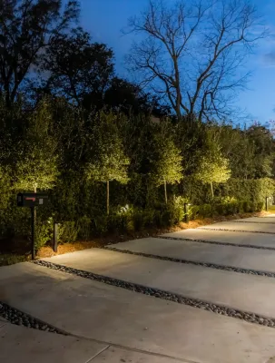 Lakeview's Grass Doctors - Drip Irrigation System Installation in New Orleans, LA