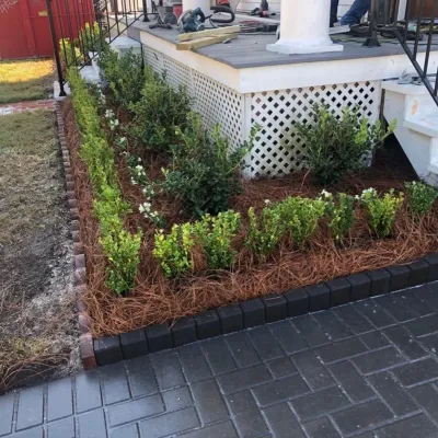Lakeview's Grass Doctors - Drip Irrigation System Installation in New Orleans, LA