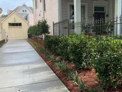 Lakeview's Grass Doctors - Drip Irrigation System Installation in New Orleans, LA