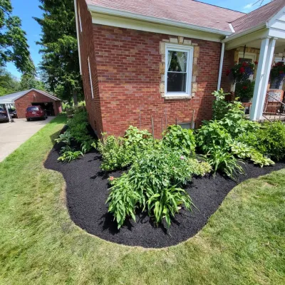 Land Pro Management - Tree & Shrub Care in Berea, OH