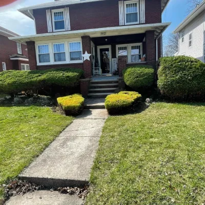 Land Pro Management - Tree & Shrub Care in Berea, OH