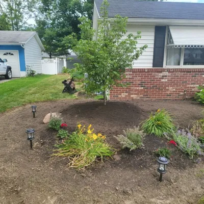 Land Pro Management - Tree & Shrub Care in Berea, OH