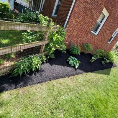 Land Pro Management - Tree & Shrub Care in Berea, OH