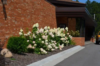 Landsburg Landscape Nursery - Lawn Aeration in Brainerd, MN