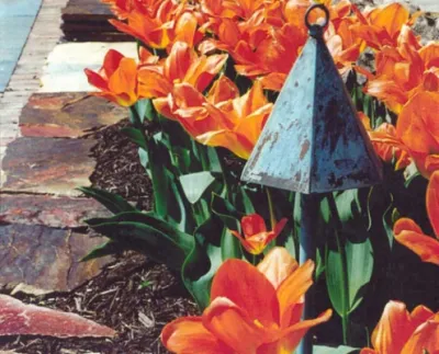 Landscape Associates Inc. - Tree Planting & Transplanting in Aldie, VA
