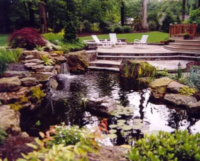 Landscape Associates Inc. - Tree Planting & Transplanting in Aldie, VA