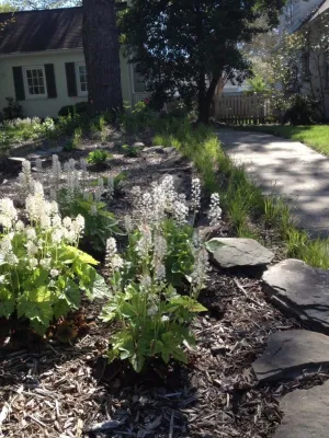 Native Plant Woodland — Landscape Construction project by Landscape Design Associates