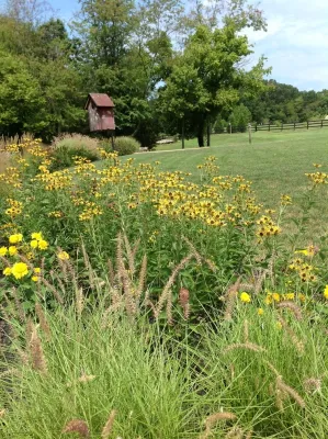 Front Royal Farmhouse — Landscape Construction project by Landscape Design Associates