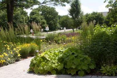 Curb Appeal with Zeal — Landscape Construction project by Landscape Design Associates