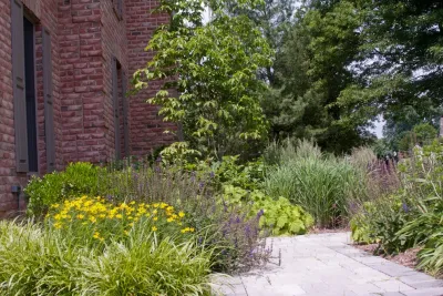 Landscape Design Associates - Tree Planting & Transplanting in Great Falls, VA