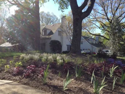Landscape Design Associates - Tree Planting & Transplanting in Great Falls, VA