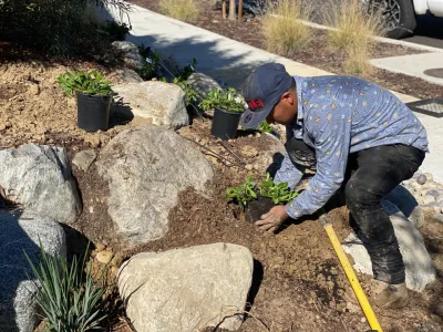Landscape Logic - Drip Irrigation System Installation in San Diego, CA