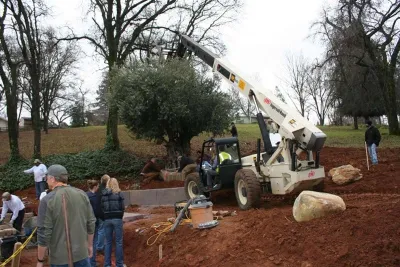 DIY Yard Crashers-Hillside Terrace — Landscape Design project by Bushnell Gardens & Landscape