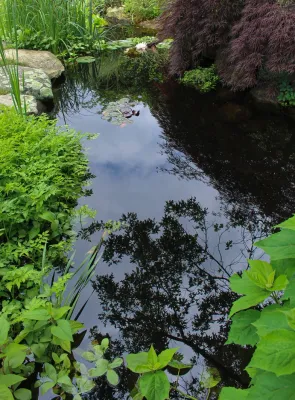 Landscape Oasis LLC - Drip Irrigation System Installation in Norfolk, MA