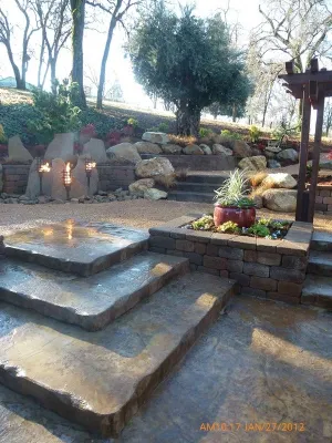 Bushnell Gardens & Landscape - Tree Planting & Transplanting in Granite Bay, CA