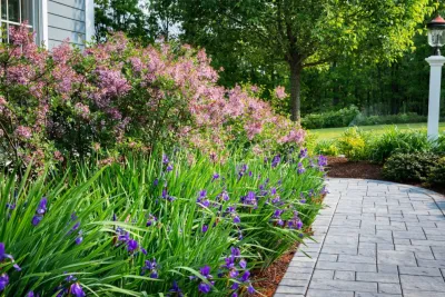 Landscape Oasis LLC - Drip Irrigation System Installation in Norfolk, MA