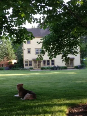 Lawn Dawg - Lawn Aeration in Nashua, NH